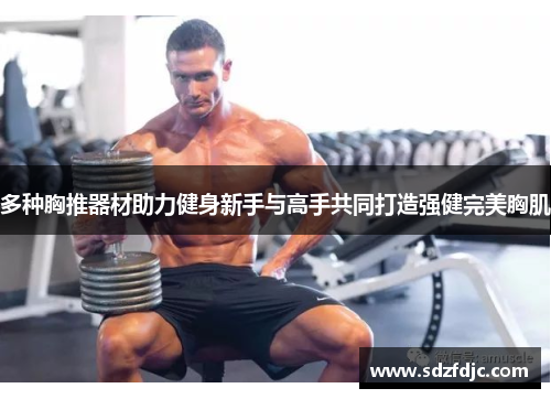 多种胸推器材助力健身新手与高手共同打造强健完美胸肌