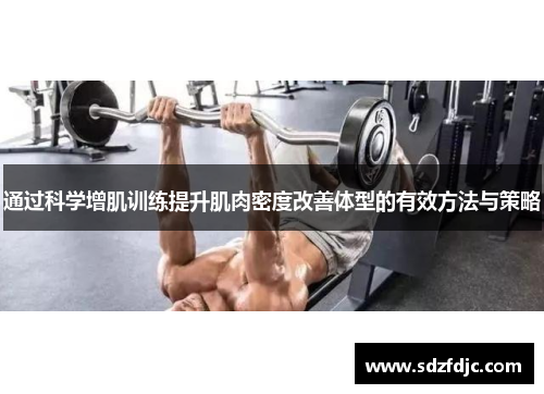 通过科学增肌训练提升肌肉密度改善体型的有效方法与策略