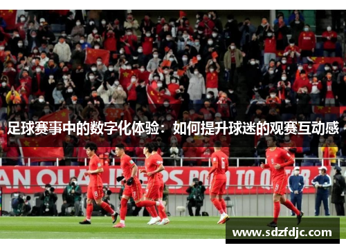 足球赛事中的数字化体验：如何提升球迷的观赛互动感
