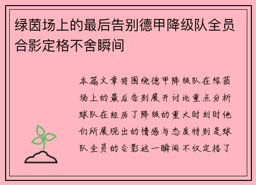 绿茵场上的最后告别德甲降级队全员合影定格不舍瞬间